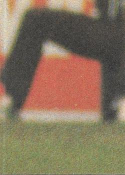 1982 Scanlens VFL #133 Stephen McCann Back